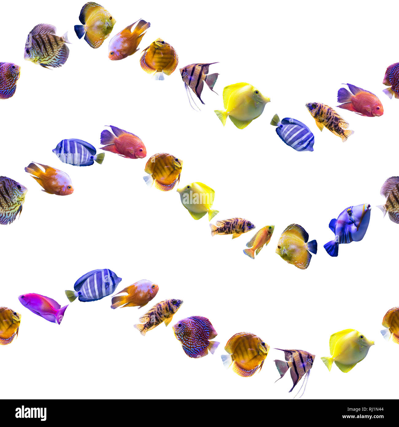 Wellenförmige nahtlose Muster. Bunten Fischen auf einem weißen Hintergrund. Über Natur, Kunst, Tiere, Meer, Fisch. Stockfoto