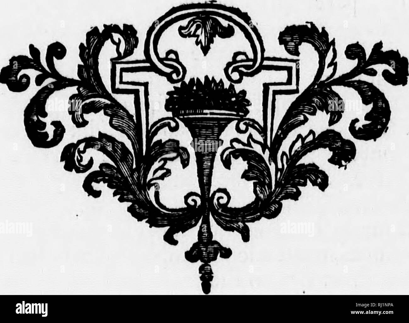 . Histoire et Beschreibung Générale de la Nouvelle France [microforme]: avec Le Journal historique d'un Voyage fait par ordre du Roi dans l'AmÃ©rique septentrionnale. Botanique; Botanik. 1687-90" 4% HISTOIRE GENERALE. n'fouffert auroit pas qu'on les Efpagnols inquiettÃ¢ t en AmÃ©rique-; mais Après-ski la mort de Louis XIV. le plan, qui fut prcpofÃ © au Confeil de RÃ©gence d Ã©tablir une forte Colo-nie Louifiane daiis La donna, lieu à quelques Aventuriers de profiter des brouilleries, qui furvinrent Entre les Cours de France&amp; d'Efpa ^ ne, pour reprendre le projet du Sieur de la Sale. Sur l Stockfoto