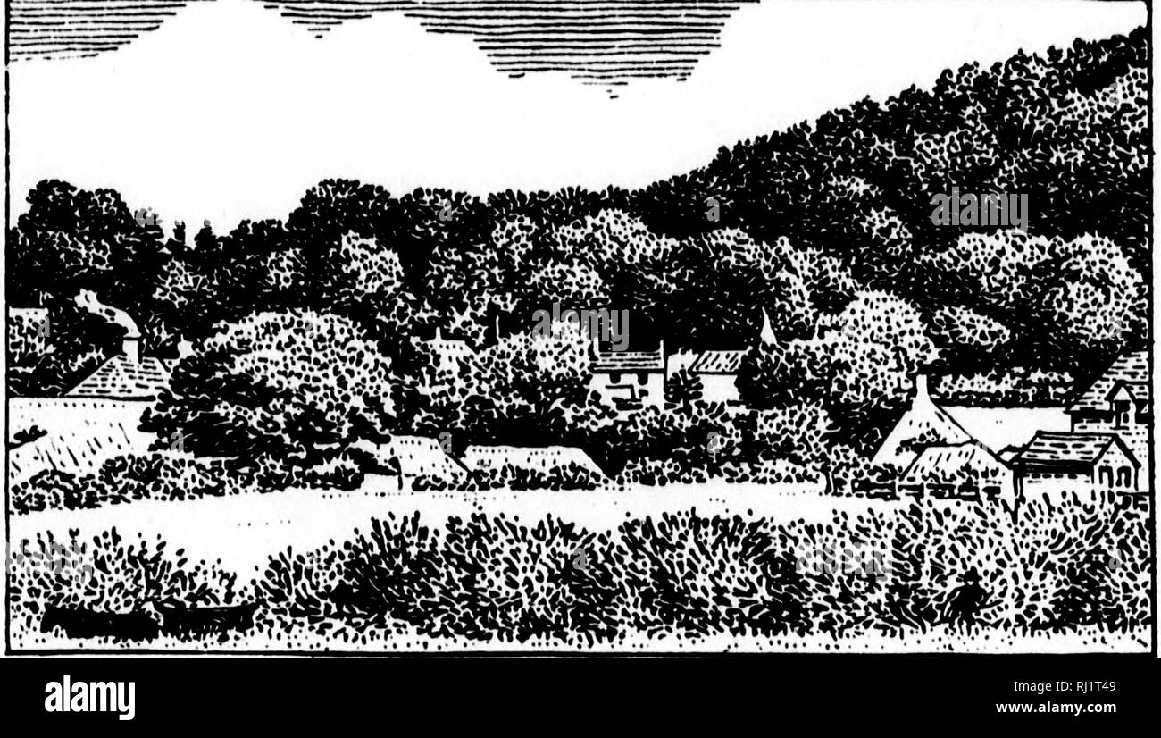 . Die natürliche Geschichte der Selborne [microform]. Natural History; Baron. Die natürliche Geschichte der Selborne 31. ^ ' trm tfu^ Jy&amp; rcA begangen wie enormities, die Regierung gezwungen war, mit dem schwere und blutige Tat zu stören, der "Schwarzen", * die jetzt mehr Kapitalverbrechen als jedes Gesetz, das jemals zuvor umrahmt wurde, umfasst. Und damit ein Ende der Bischof von Winchester, wenn aufgefordert, re-stock Waltham Chase, t abgelehnt, von einem Motiv angemessen von einem Prälaten, beantworten", dass es Unglück schon genug getan hatte." Unsere alte Rasse von Rotwild - stealers sind kaum extinc Stockfoto