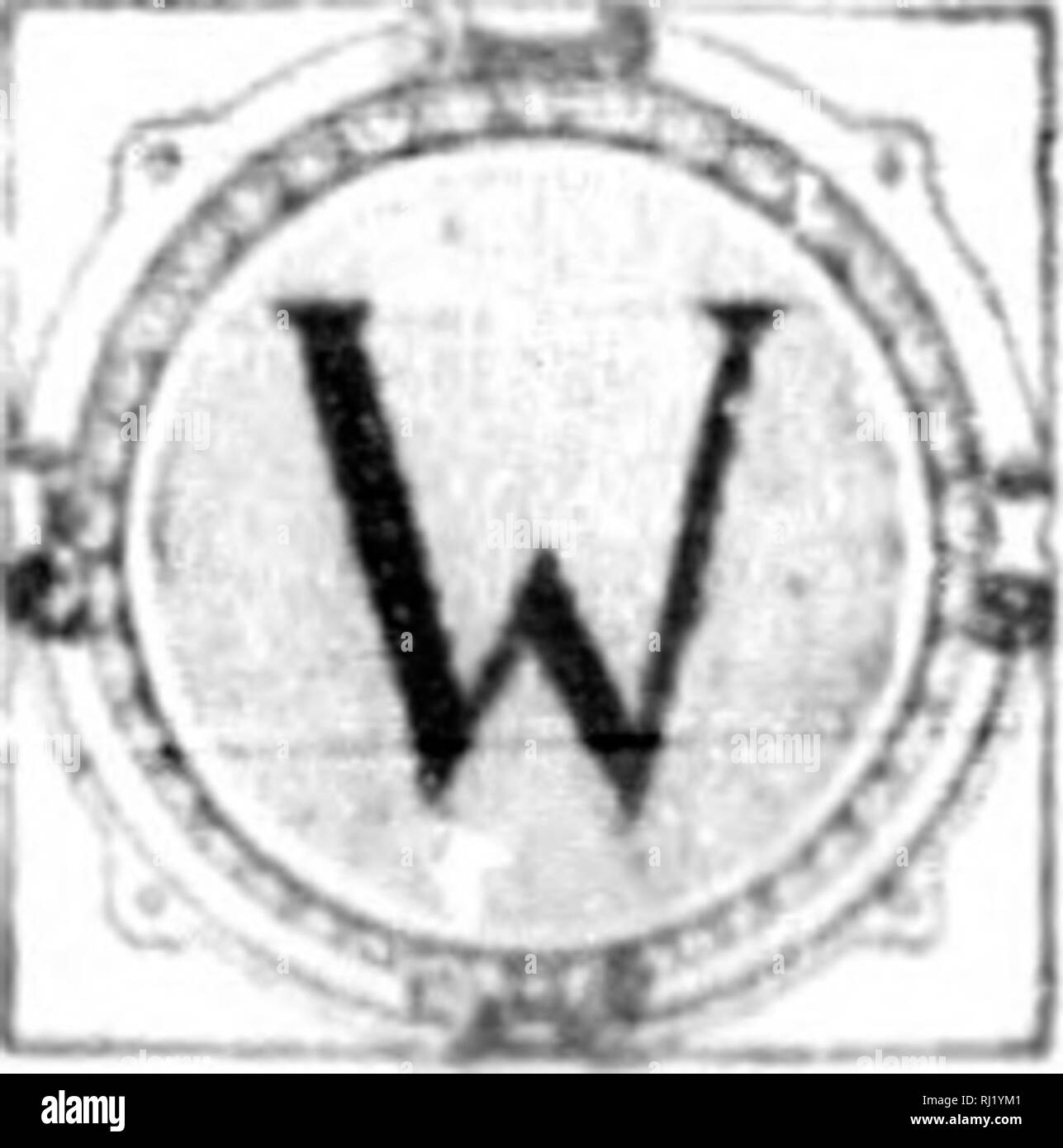 . Wilde Blumen von Kanada [microform]. Wilde Blumen; Blüten; Botanik; Fleurs sauvages; Fleurs; Botanique. WVMWV. V. ; E und protzig, matt Dunkelrot und Weiß in der Farbe. Wie t'. e u Ich, bunten (senkt der Juwel - wir. d. v nur selten Samen produzieren. Das ist der inconspieutius Ciuderellas links zur Bud wie blossoi, unten am Stamm - nicht erlaubt iipjicr iuhniration in Luft zu gewinnen. Tlie-e fruchtbaren Blüten überhaupt nicht öffnen. Befruchtung stattfindet, in der bi. Ivpipluxn' - VirKiiiiana ist ein nicht selten Pflanze m Ia. sterii Norden. Amerika. Es ist Fo.md in Kana uiiihlh fmhfiifnl; 4 fm. t^t, auf Stockfoto