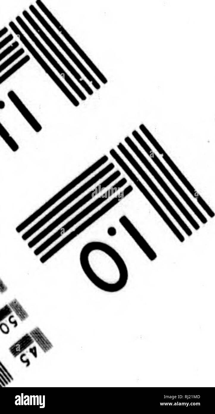 . Zweite Reise à La Louisiane, faisant Suite au premier de l'auteur de 1794 à 1798 [microforme]: Contenant un mémoire sur la Découverte du Coton Tier, un-manuel Botanique à l'usage des Jeunes Doppelpunkte, un-Wörterbuch ou vocabulaire Kongo, précédé d'une statistique des comptoires de la Côte d'Angole, le tout utile aux Américains cultivateurs.... Plantes; Pflanzen. Ich kanadischen Institut für Historische Microreproductions/Institut canadien de microreproductions historiques. Bitte beachten Sie, dass diese Bilder aus gescannten Seite Bilder, die digital für die Lesbarkeit erhöht worden sein können extrahiert werden Stockfoto