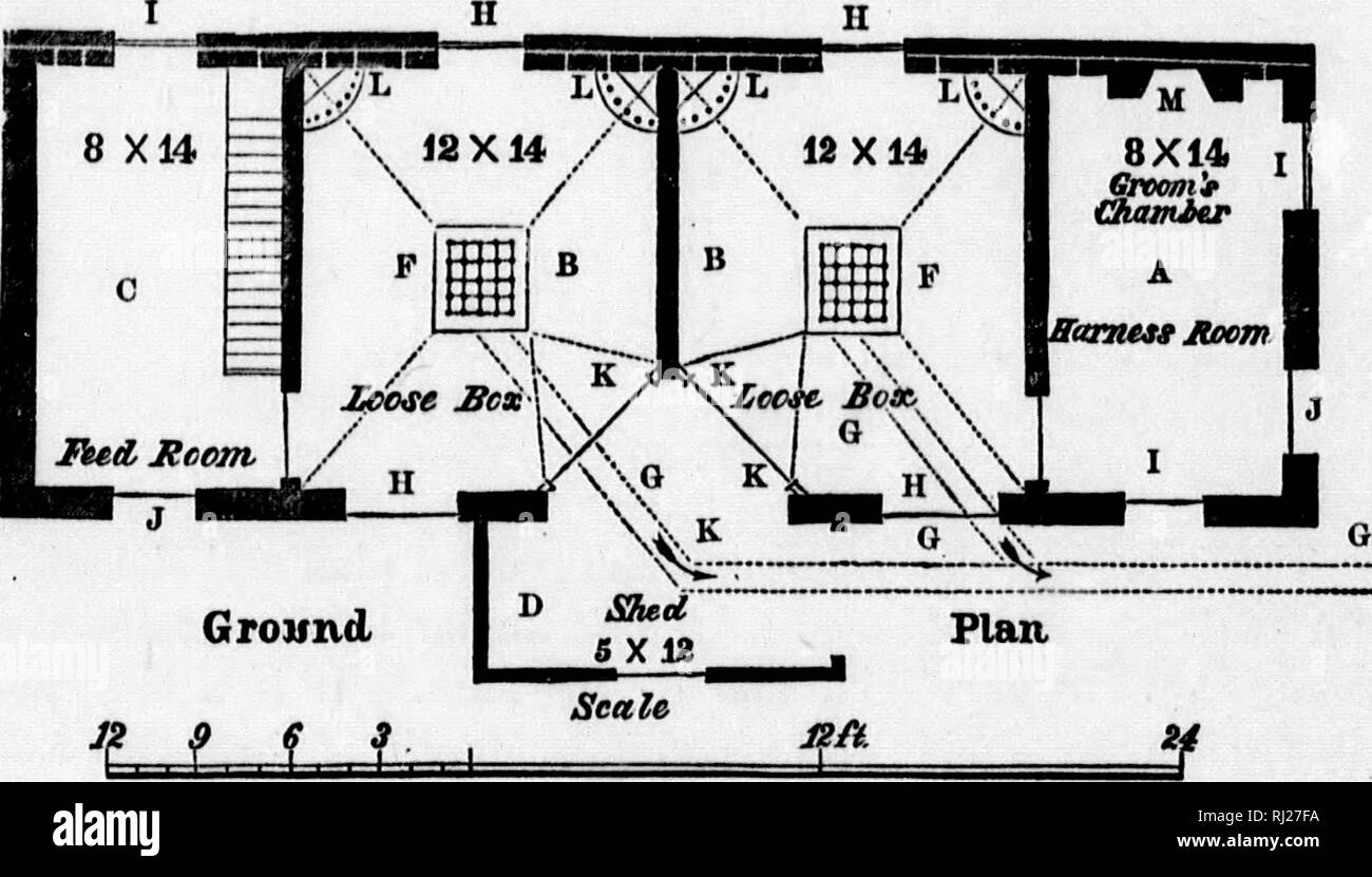 . Frank Förster Pferd und Reiter der Vereinigten Staaten und des Britischen Provinzen Nordamerika [microform]. Pferde; Rennen Pferde; Chevaux; Chevaux de Kurs. 428 THB HOBf^ B.. Boden Flan. im Keller; und vor - der Boden, auf dem Dach des Vault auf die obere oder die linke Seite - wir finden eine, des Bräutigams Kammer und Kabelbaum - Zimmer, mit Kamin, 14 Fuß durch acht in der klaren, durch eine Tür vor eingegeben, vom Balkon aus durch eine äußere Treppe erreichbar. B, stabile, aufgeteilt in zwei lose Kartons, in jeder Hinsicht angeordnet, als des-Cribed oben, belüftet, ausgestrahlt, ligh Stockfoto