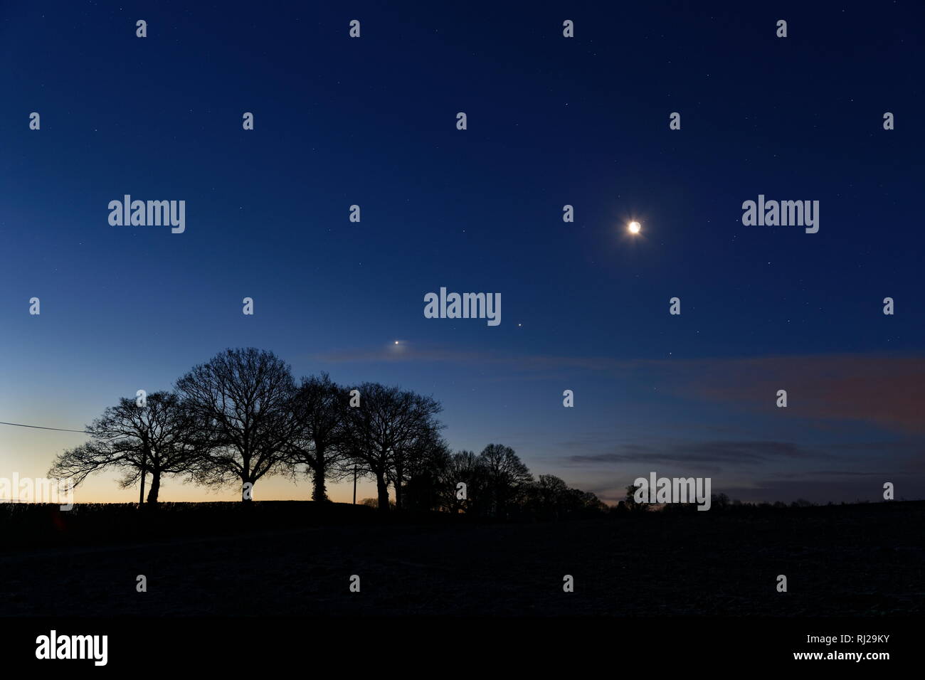 Venus, Jupiter und Mond/ majestätisch in den Himmel über Bäume, die durch die frühe Dämmerung Oakley Hampshire Silhouette Stockfoto