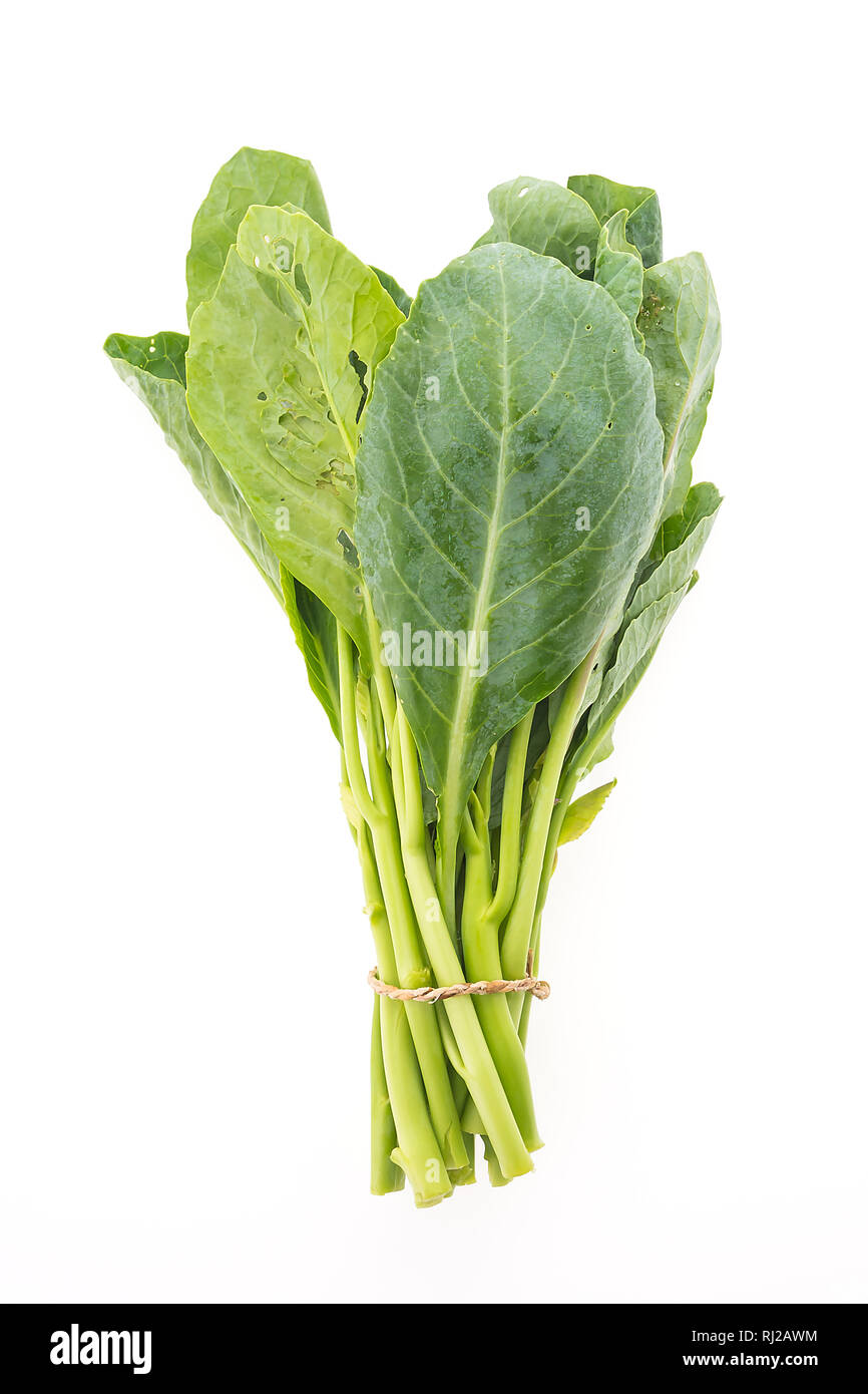 Chinesischer Brokkoli Gemüse auf weißem Hintergrund Stockfoto