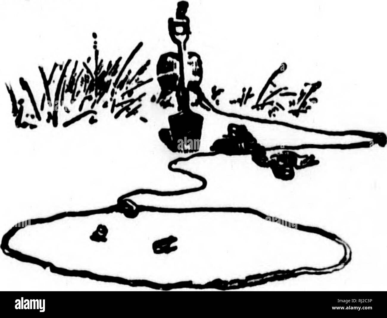 . Wilde Tiere, die ich kenne und 200 Zeichnungen [microform]. Das Verhalten der Tiere, Animaux. iht. Nach 'MusTaiig' braun ised ihr einen langen, wenn Song iras Rang mit ertrunken, Präriehunde und nnloe. Hier war die neue Strecke die Tiere gezwungen wurden (D durch die Grube. Er wählte eine sedgy Klumpen in der Nähe einige glatte, grasbewachsenen Boden und ersten Fest der Pfosten versenkt, dann grub ein Loch groß genug, um in Verstecken und breitete seine Decke Er bis Halteband des kleinen Mare verkürzt, bis sie kaum bewegen konnte; dann auf den Boden zwischen er seine offenen Lasso verteilt und bindet das lange Ende an die Post, dann das Seil mit Du abgedeckt Stockfoto