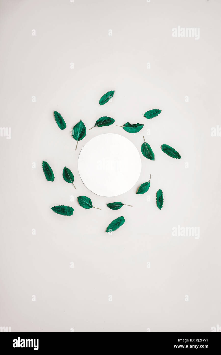 Kreative Gestaltung von weißen Blumen und Pflanzen mit Platz zum Schreiben. Stockfoto