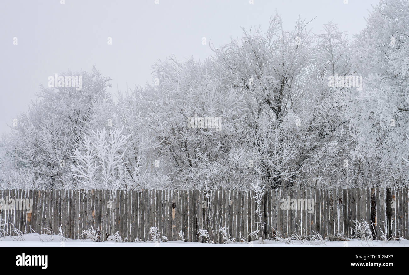 Winter Bäume sind mit Schnee hinter einem hölzernen Zaun abgedeckt Stockfoto