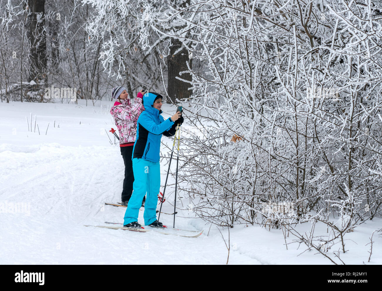 Zwei Skifahrer stoppte in der Nähe des Bush und Bilder von Frost auf den Ästen auf ihren Smartphones Stockfoto