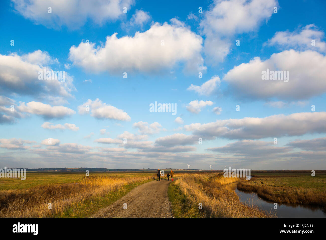 Elmley Island, Isle of Sheppey, Kent, Großbritannien. Ein nationales Naturschutzgebiet und Feuchtgebiete. Großer Himmel und flauschige Wolken. Aufgenommen im Januar. Stockfoto