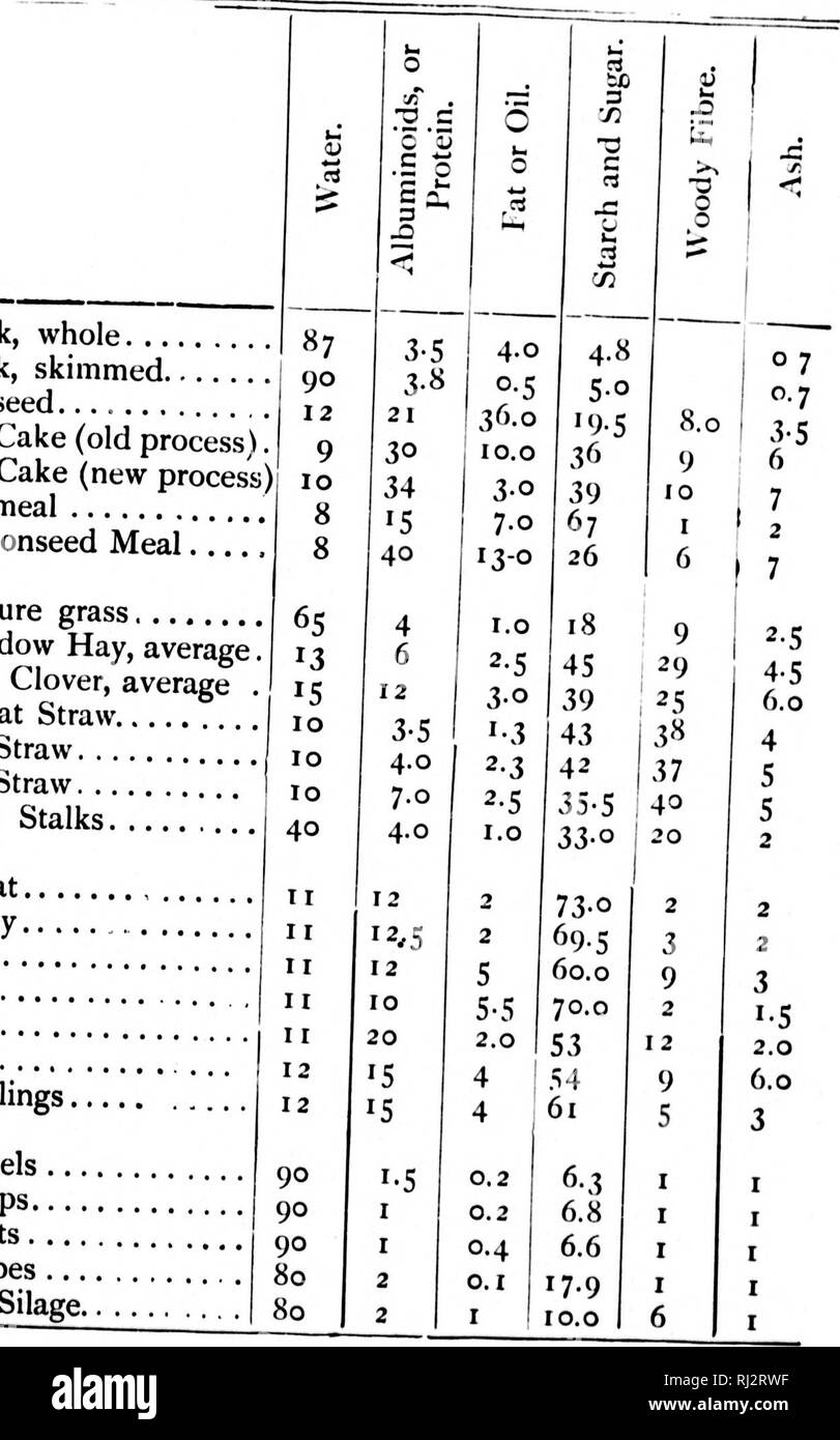 . Die praktische Landwirtschaft [microform]. Landwirtschaft Die Landwirtschaft. Lebensmittel von Tieren. Zusammensetzung der Foodf^ 59 Essen mit ns, Haut, Con-Platz, es t, um den shut up r. Diese g, Erneuern, ob ds Essen, s kommt A Horse, wird täglich sn so wie Le Der. Diese o get a verwendet, äh Mais 90 pro aw und Tts, ind w Ältere adually Weizen Gerste Hafer.. Mais. , Erbsen. liran Futtermehl Mangels Rüben Karotten Kartoffeln Maissilage.. Milch, Vollmilch, Magermilch (^o Leinöl Kuchen (altes Verfahren). Ölkuchen (neue Verfahren) Haferflocken Mehl Weide Gras Wiese Heu, durchschnittliche Rotklee, durchschnittliche AV' hea Stockfoto