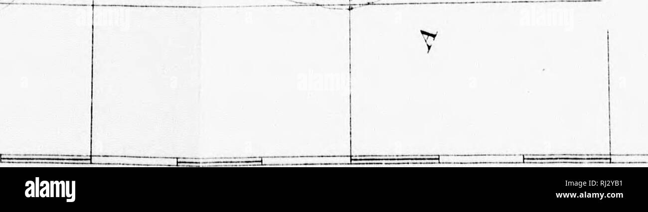 . Die Schmetterlinge der östlichen Usa Und Kanada [microform]: mit besonderem Bezug auf New England. Schmetterlinge; Schmetterlinge; Papillons; Papillons. &Lt;!'^. Rr.^,;:--:^t SANTCCKKT JK PT W - NANTUCKET ICH.. s!+: 5 n i PHYSK an. Karte OK Ni: W ENGLiVNl) Pi' epartHl von John H. KM'] Uuder MROTH, tlx: "SiijxTvisiori von HEXHY O^ VNNK' rT GEOtJR/PHt; R I". S. GFiOLOOlC^ U-UMFRAGE', F O K SCIJDDER RUTTEI'S^^^ liegt () F^M: &gt; VEX (1 und 1). 1-2 lo o SHiEHICE-Scalo, 2, (ioo. (X) o lO VO 30+0 SO BO 70 Meile 3 188 Â". I' I l! ZSSZB^ B9 fia JULIUS niC i CO L'TH 0. Bitte beachten Sie, dass diese Bilder vom Sc extrahiert werden Stockfoto