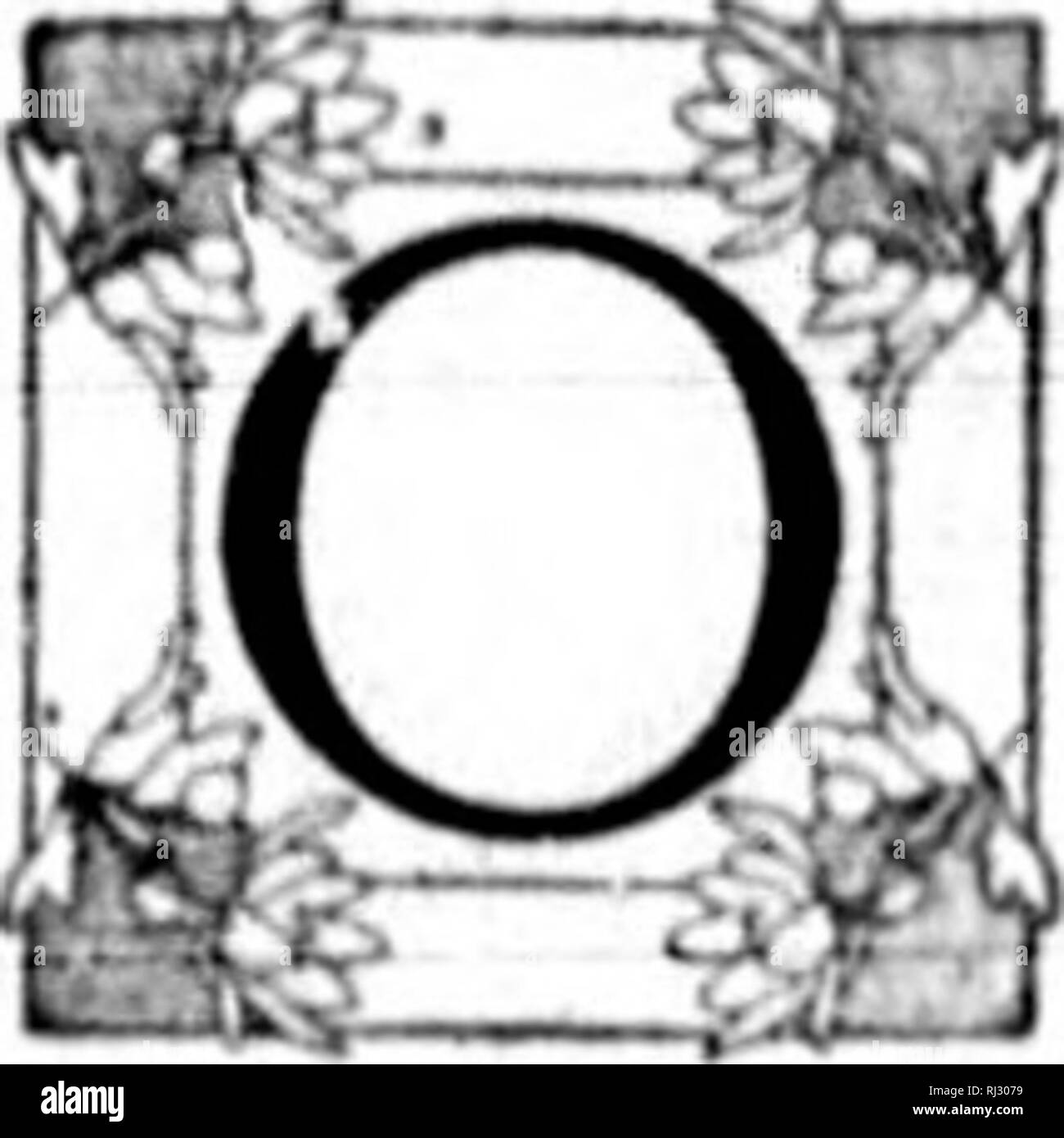 . Wilde Blumen von Kanada [microform]. Wilde Blumen; Blüten; Botanik; Fleurs sauvages; Fleurs; Botanique. 'Ml Gprr -^ StiiH' njr. ttntfxcrttlimi' Ik^'â¢ MONO die Platte ai 7. HUKA iPENDULA PUGUNIA TKIANTHUI'). (ORCHIS FAMILIE., iiHf iitfkfx IH kngkt. Â "mi * II/A. itltAfy mttHlfht. /Ra/v. tisini: von ttH vMnMi; lultrr, IfillYS iti/i-ten &Lt;i/&lt; huHliUy olHlIf, in "^ ilf nnit r/III^ m;:. nffrn/yintlih; "ich 'Niedrig' rcts der Hügel", wc kann miml) i'r der Messe wenig Orchidee, T'ogotiia Pciiilula, einer der Schüchternsten und die meisten difTiciili zu finden, doch eine der am meisten daintilv uniiTfitl, von thoM^ fast Stockfoto