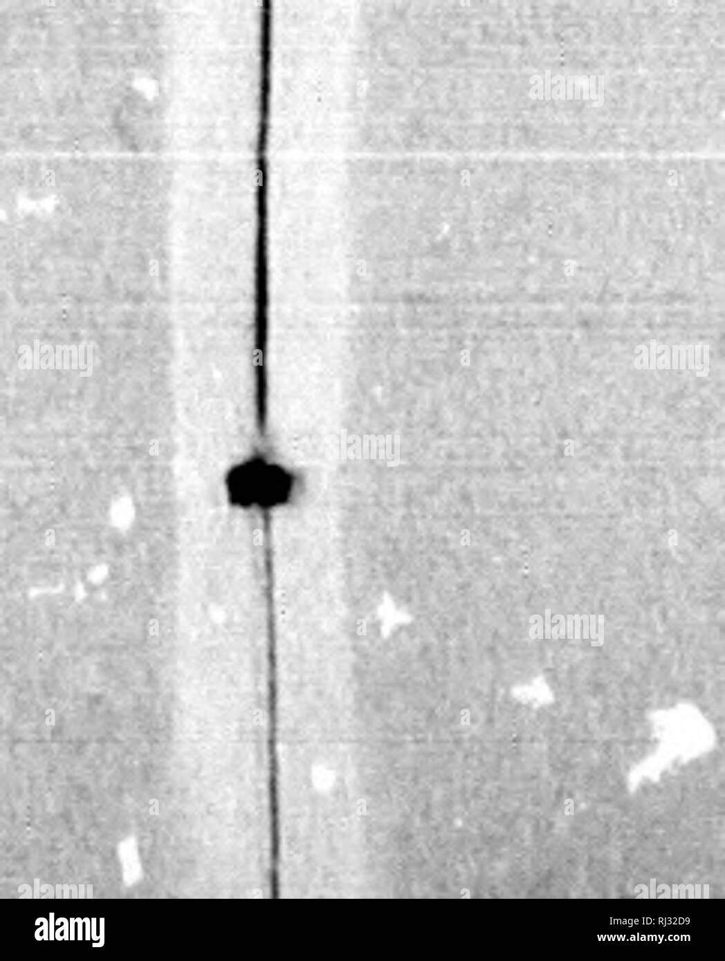 . Der Fossile Insekten von Nordamerika, mit Anmerkungen zu einigen europäischen Arten [microform]. Insekten, Fossil; Insekten; Insectes Fossilien; Insectes. ms â â 100 TEllTIAUY INSEKTEN VON NOKTH AMERIKA. mont von tlio basiil Gelenke und in den kleineren Doppelgelenkwelle Tarsus, Ure, die eng mit der thosij. Einige Cinuraâbuiltr tatsächlich auf dem gleichen allgemeinen Muster, außer dass Sie sind Plauocephalus specisHy für swiunning entwickelt. In der ciaw unserer fossilen Gattung haben wir thysanuriform sonjething entschieden. Nicht Ii!: (; bisher der beiden tarsal Gelenke wie jedes ein. rnied apically mit einem inneren Spi gesprochen Stockfoto