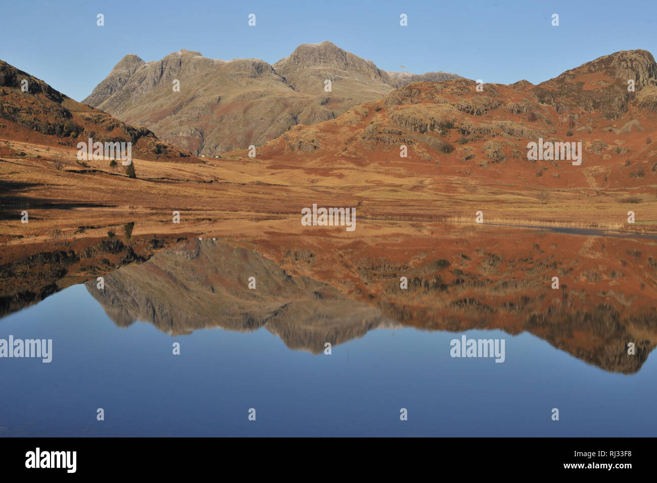 Blea Tarn Reflexionen Stockfoto