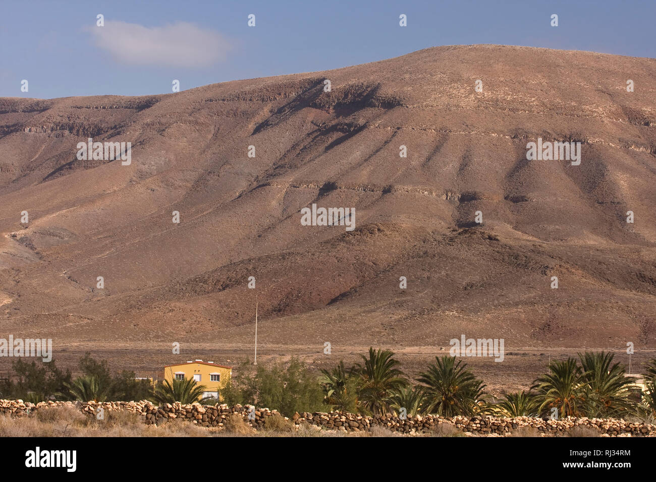 Landschaft im Naturpark Bartolo, Fuente de Bartolo, Fuerteventura, Kanarische Inseln, Spanien, Europa Stockfoto