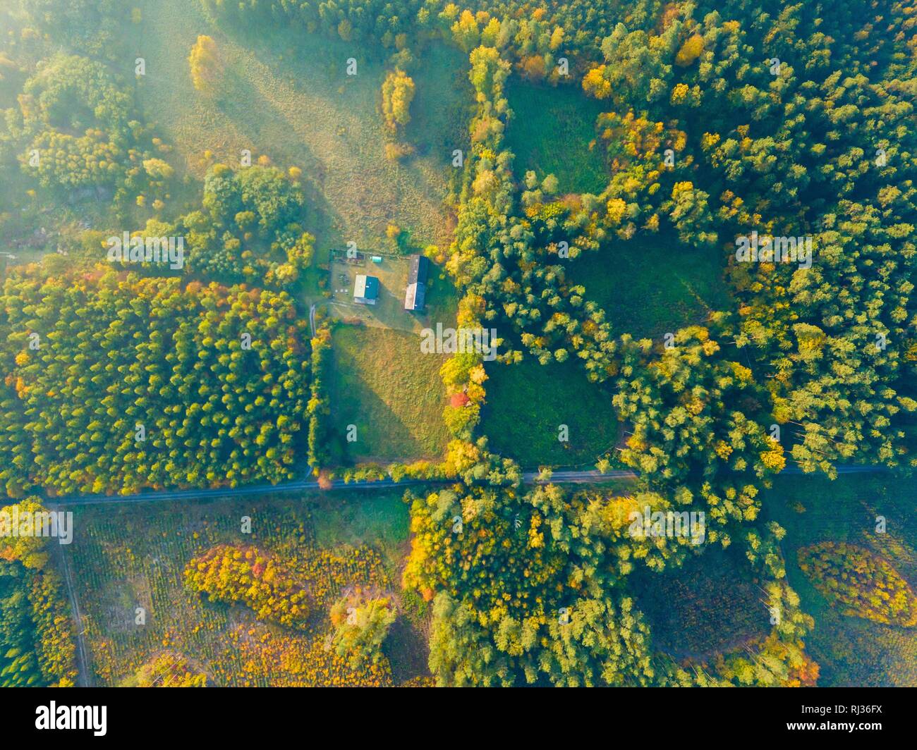 Bauernhof oder Haus im herbstlichen Wald, von oben nach unten Antenne Landschaft. Stockfoto
