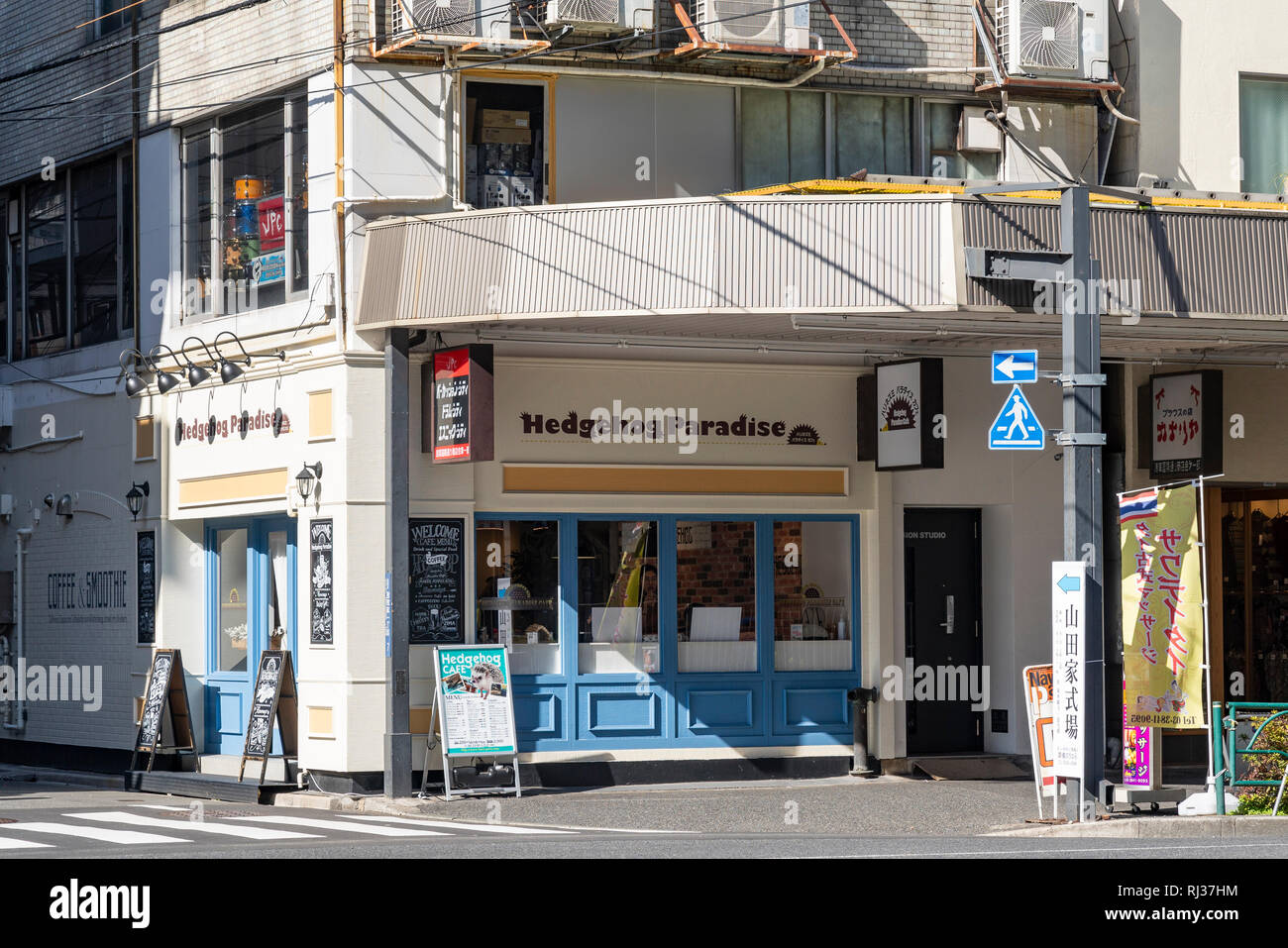 Hedgehog Cafe, Taito-Ku, Tokio, Japan Stockfoto