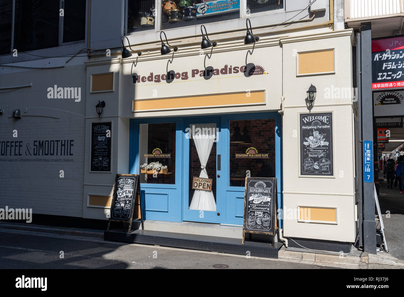 Hedgehog Cafe, Taito-Ku, Tokio, Japan Stockfoto