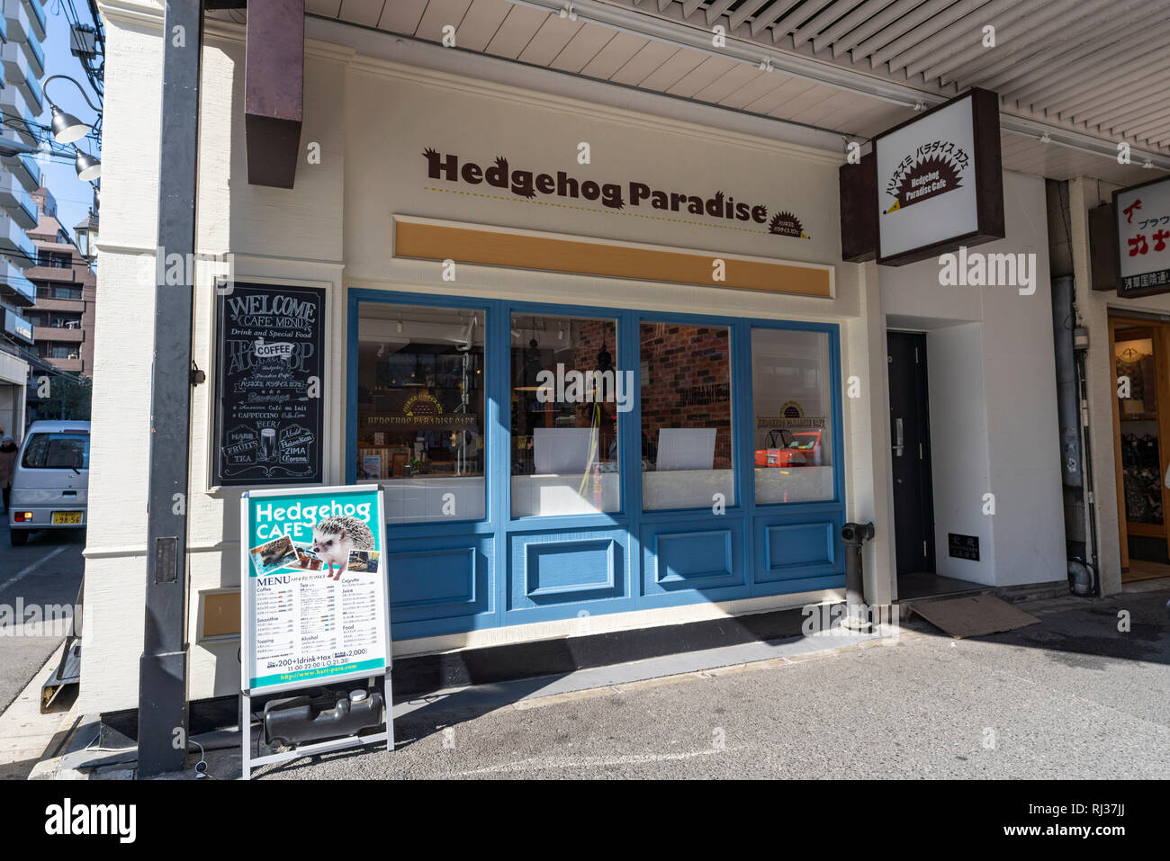 Hedgehog Cafe, Taito-Ku, Tokio, Japan Stockfoto
