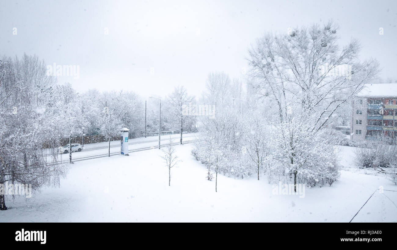 Dresden, Deutschland (2019): Wohnbereich mit Straßenverkehr und ein im Neuschnee bedeckter Park. (Vogelperspektive) Stockfoto