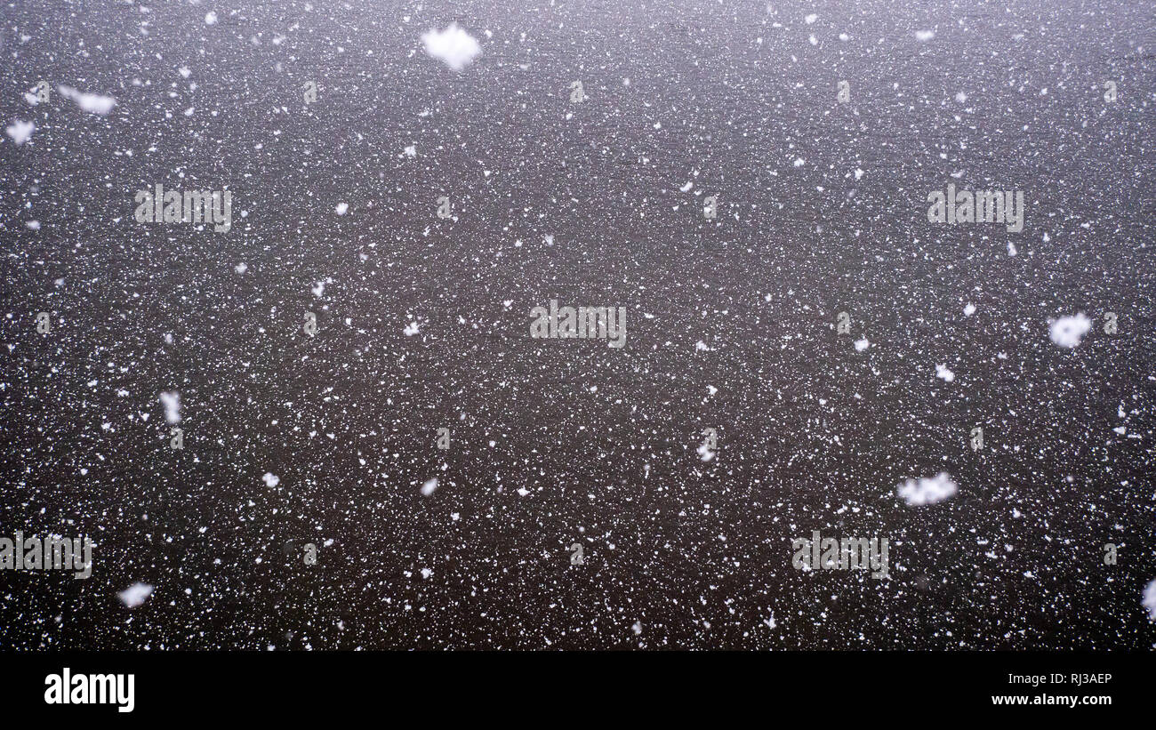 Altstadt, Dresden 2019: Es schneit! Große weiße Schneeflocken, die im Hintergrund vor der schwarzen Elbe herabfallen. Stockfoto