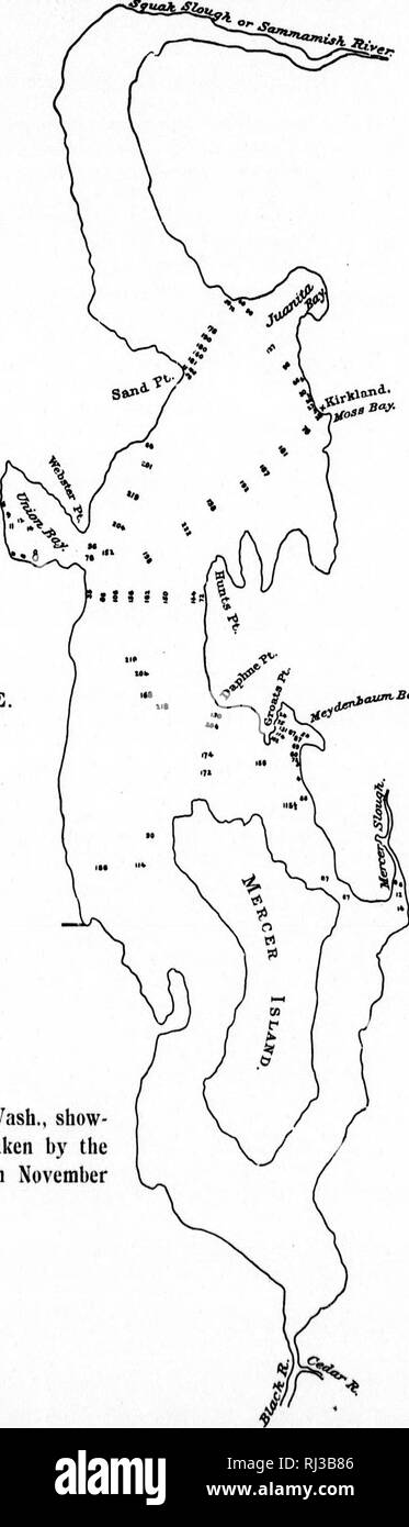 . Einen Bericht auf Lachs Untersuchungen in den Columbia River Basin und anderswo an der Pazifikküste 1896 [microform]. Fische; Lachs; Poissons; Saumon. Bull. Us F.C." 97. (Faco Seite 38.) die Platte 1. SEATTLE. AVM-Bajf. Karte von Lake Washington, Washington, show-ing Soundings, in Fuß, die durch die U-Kommission, die im November und Dezember, i8g6.. Bitte beachten Sie, dass diese Bilder sind von der gescannten Seite Bilder, die digital für die Lesbarkeit verbessert haben mögen - Färbung und Aussehen dieser Abbildungen können nicht perfekt dem Original ähneln. extrahiert. Evermann, Barton W Stockfoto
