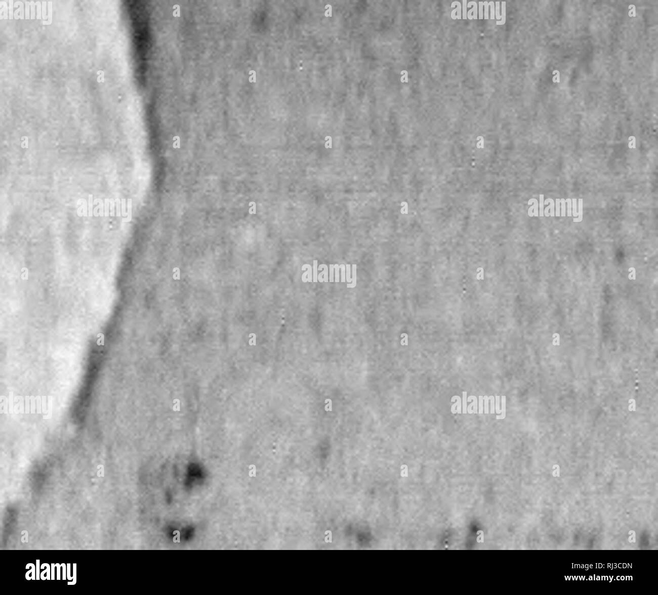 . Anatomie et pysiologie du Cheval [microforme]. Chevaux; Chevaux; Pferde; Pferde. le re-w. Ich - Wenn^ vsf-. m^bin "''" M îih. Bitte beachten Sie, dass diese Bilder sind von der gescannten Seite Bilder, die digital für die Lesbarkeit verbessert haben mögen - Färbung und Aussehen dieser Abbildungen können nicht perfekt dem Original ähneln. extrahiert. Villeroy, Félix; Villeroy, Félix. Manuel de l'éleveur de chevaux. Montréal: "Semaine agricole" Stockfoto