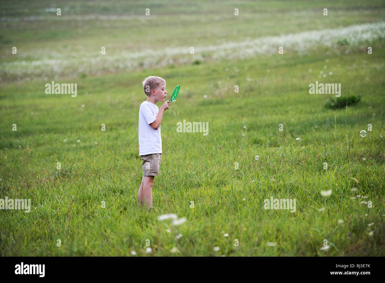 Ein kleiner Junge in der Natur an einem Sommertag, bläst Seifenblasen. Stockfoto