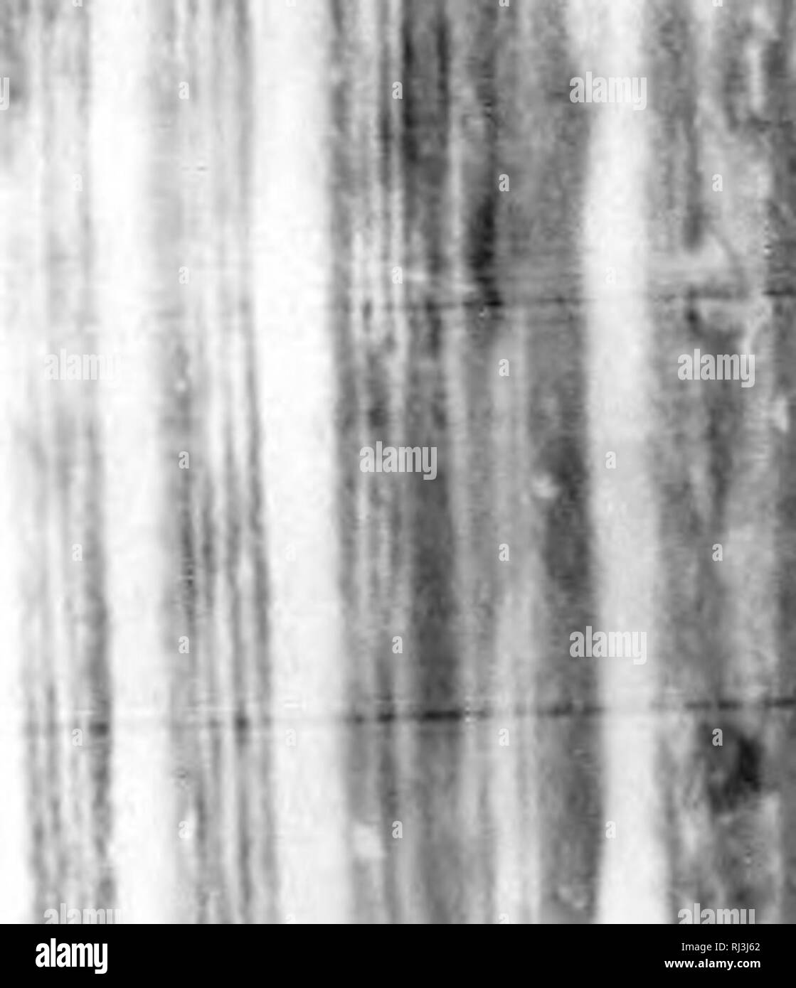 . Erzählung von der Arktis land Expedition in die Mündung des Great Fish River, und entlang der Küste des arktischen Ozeans, in den Jahren 1833, 1834 und 1835 [microform]. Wissenschaftliche Expeditionen; ExpÃ©Habungs scientifiques. AFPENHIX. 2;.;&gt;&gt;. 51 irils. Wlipn puffinf; Lärm Wartiri Fell ist "Nani (! Von ur I'lir - sliops. I. S. 52. s Beute in sterben ator Größe, Ilie 3 Skins oC tlie; p.r) 5. "Ach, geben: irgcs Wenn in • oach. Die weisen iiarmir??s iiid Es hcrrc 'te.';'': â â ¢ oder viele Tage. /; Id, aber für seine rous Feinde, mg Es, einer einzigen 1. s. 57. I) ld; aber es) ine andere Re - 1 Otter, vv Stockfoto