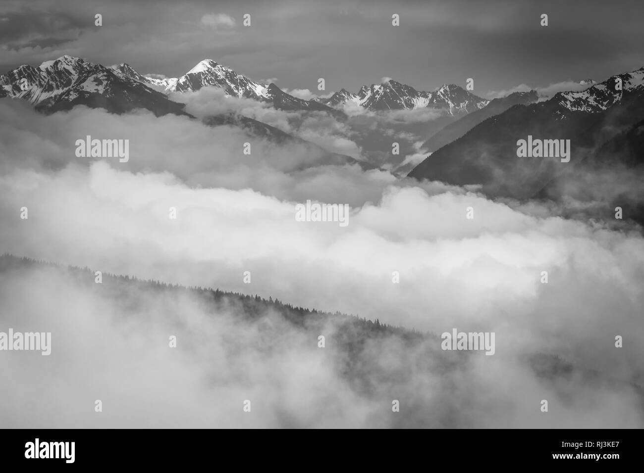 Blick auf die verschneiten Olympic Mountains und niedrige Wolken von Hurricane Ridge, in Olympic Nationalpark, Washington. Stockfoto