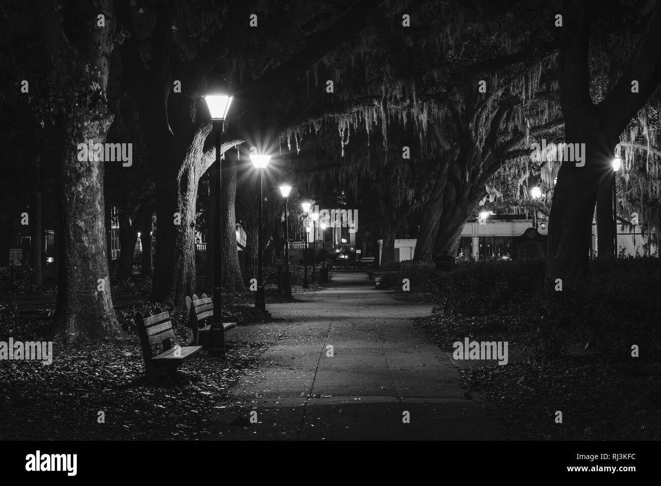 Bänke und Bäume mit spanischem Moos auf einem Gehweg in der Nacht, am Forsyth Park in Savannah, Georgia. Stockfoto