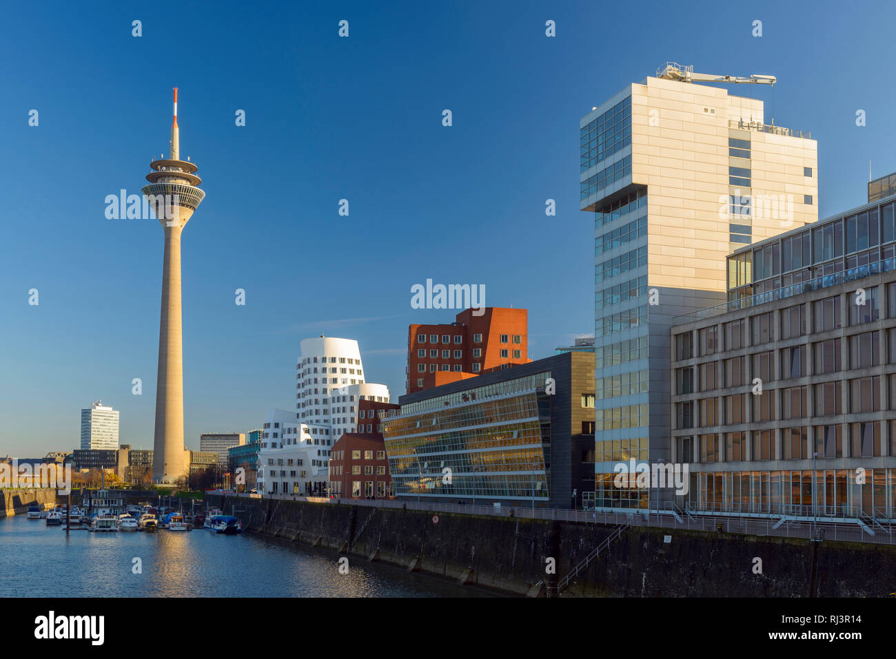 Rheinturm, Gehry Gebäude, Neue Zollhof, Medienhafen, Düsseldorf, Nordrhein-Westfalen, Deutschland, Europa Stockfoto