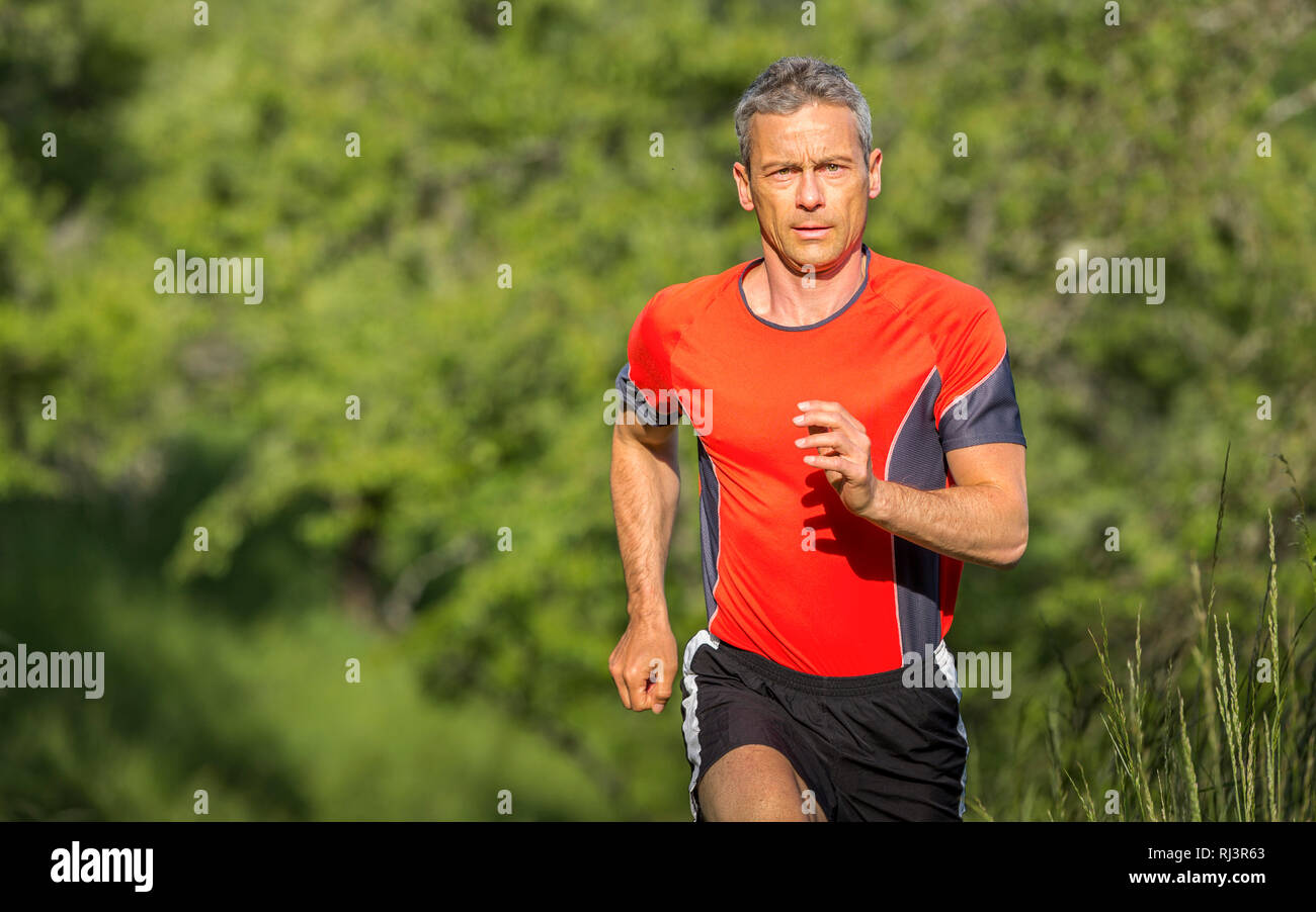 Mann, 40-50 Jahre, joggen, Wiese, Feldweg Stockfoto