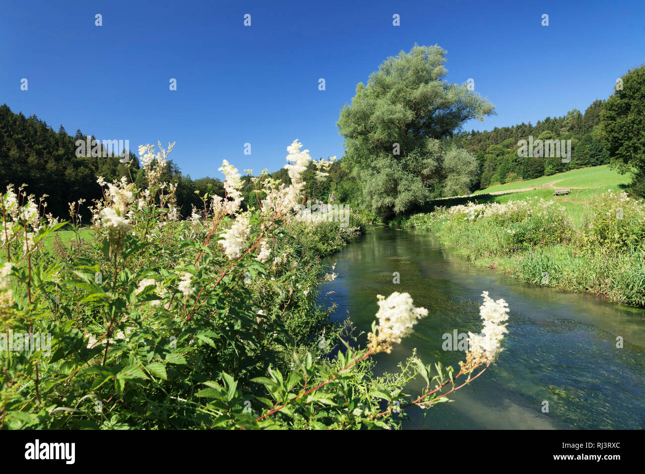 Lautertal, Schwäbische Alb, Baden-Württemberg, Deutschland Stockfoto