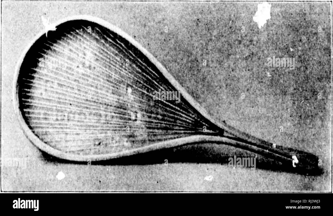 . Das Land der muskeg [microform]. Jagd; Chasse. wr^i^76 bis LAND Ol