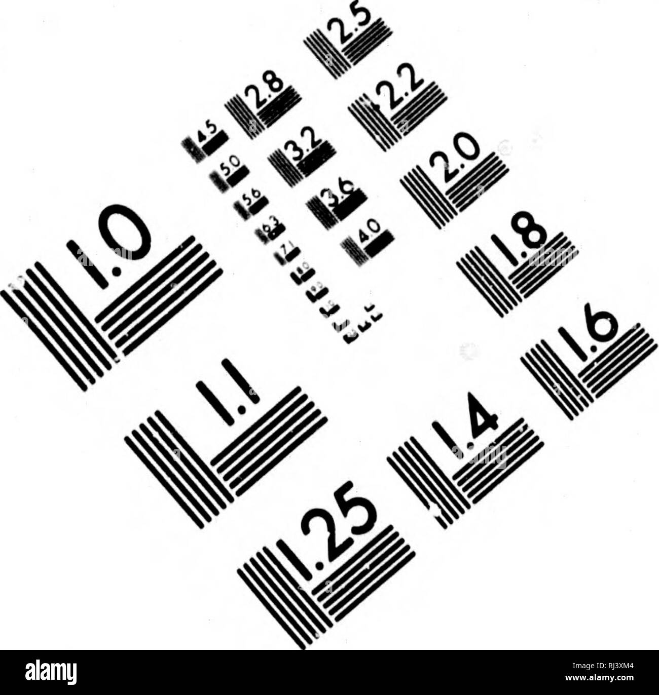 . Big Game shooting [microform]. Big game Jagd; Jagd; Chasse Au Gros gibier; Chasse. Bild TEST ZUR BEURTEILUNG ZIEL (MT-3)^//A fc^= ICH I.I 11.25 12,5 2,2 i;^ illlM 1.4 ist. V] vg 7 c^c^l/^V mnsL Sciences Corporation. Bitte beachten Sie, dass diese Bilder sind von der gescannten Seite Bilder, die digital für die Lesbarkeit verbessert haben mögen - Färbung und Aussehen dieser Abbildungen können nicht perfekt dem Original ähneln. extrahiert. Phillipps-Wolley, Clive, 1854-1918; Baker, Samuel Weiss, 1821-1893. London: Longmans, Grün Stockfoto