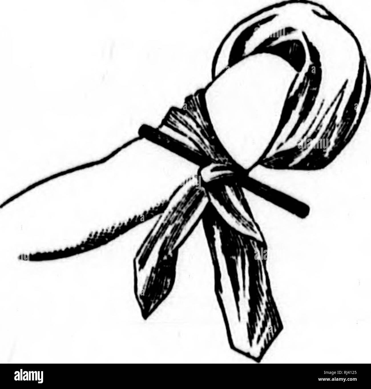 . Öffentliche Schule Physiologie und Mäßigung [microform]. Physiologie; Nervensystem; Erste Hilfe bei Krankheit und Verletzung; Physiologie; Nerveux, SystÃ¨me; Premiers soins. W"Â" r'150 PHYSiOLOay UND MÄSSIGUNG. kann verloren gehen, aber, wie der Strom in Richtung Herz Es hat nicht so viel Kraft. Es fließt gleichmäßig und ist von einem dunklen Violett. Wenn die Kapillaren nur geschnitten werden, das Blut sickert vorsichtig aus der Wunde. 4. Blutungen; aus einer Arterie. âThe Arterien sind in fast jedem Teil des Körpers gefunden. Wo immer es möglich ist, Sie sind tief in das Gewebe entfernt. Die größeren Stämme in der Regel besetzen die Mo Stockfoto