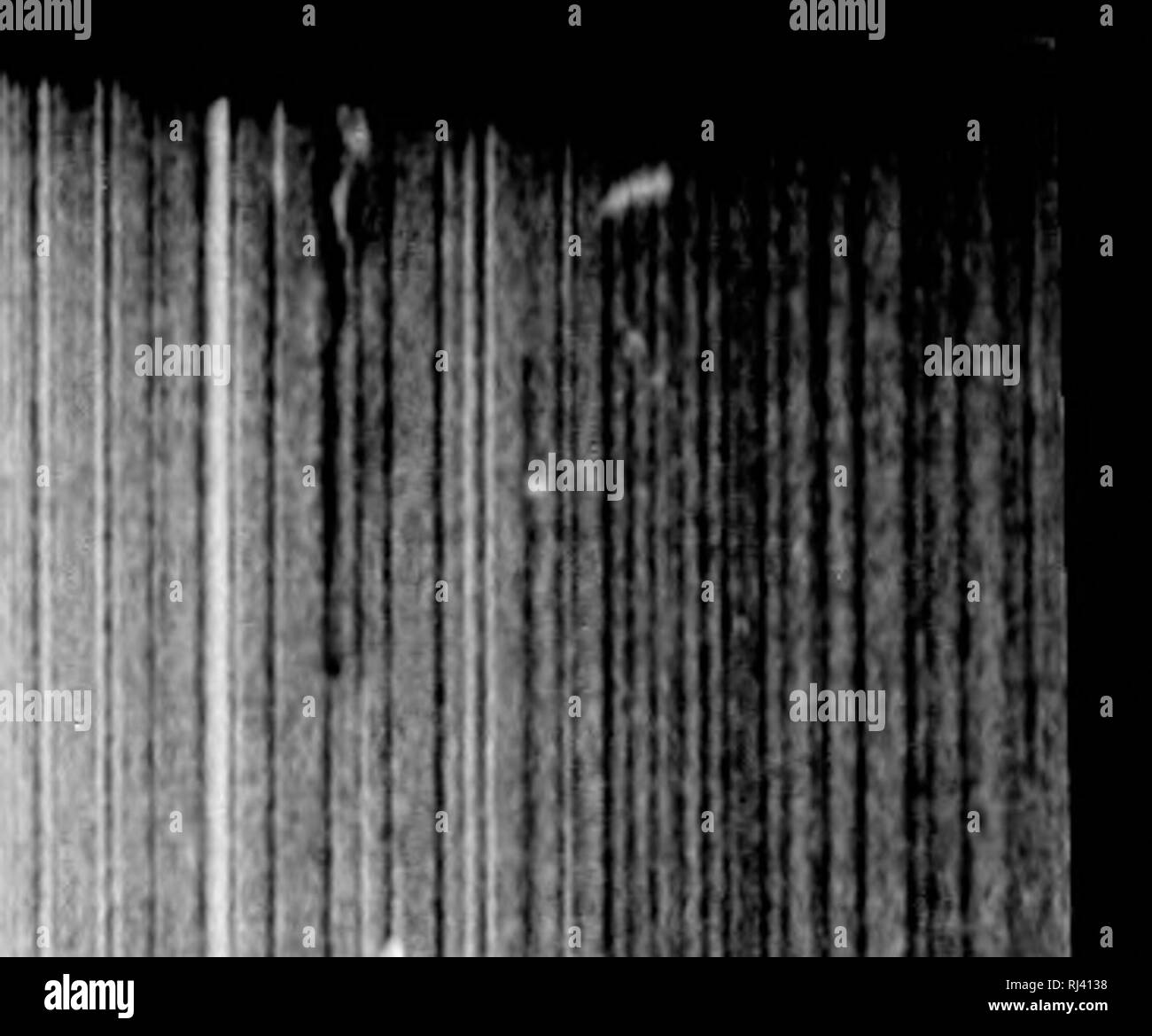 . Der Schmetterling Buch [microform]: Ein beliebter Leitfaden zur