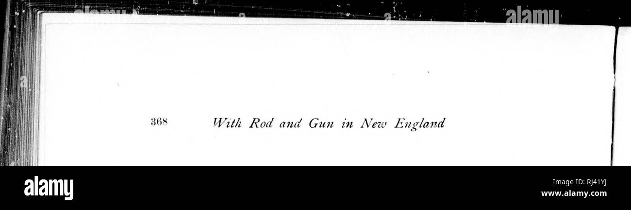 . Mit der Stange und Waffe in New England und die maritimen Provinzen [microform]. Jagd; Angeln; Jagd; Angeln; Chasse, Pêche sportive; Chasse, Pêche sportive. Mit Rod und Gewehr in Nezv Enoland M. Bitte beachten Sie, dass diese Bilder sind von der gescannten Seite Bilder, die digital für die Lesbarkeit verbessert haben mögen - Färbung und Aussehen dieser Abbildungen können nicht perfekt dem Original ähneln. extrahiert. Samuels, Edward A. (Edward Augustus), 1836-1908. Boston: Samuels & Amp; Kimball Stockfoto