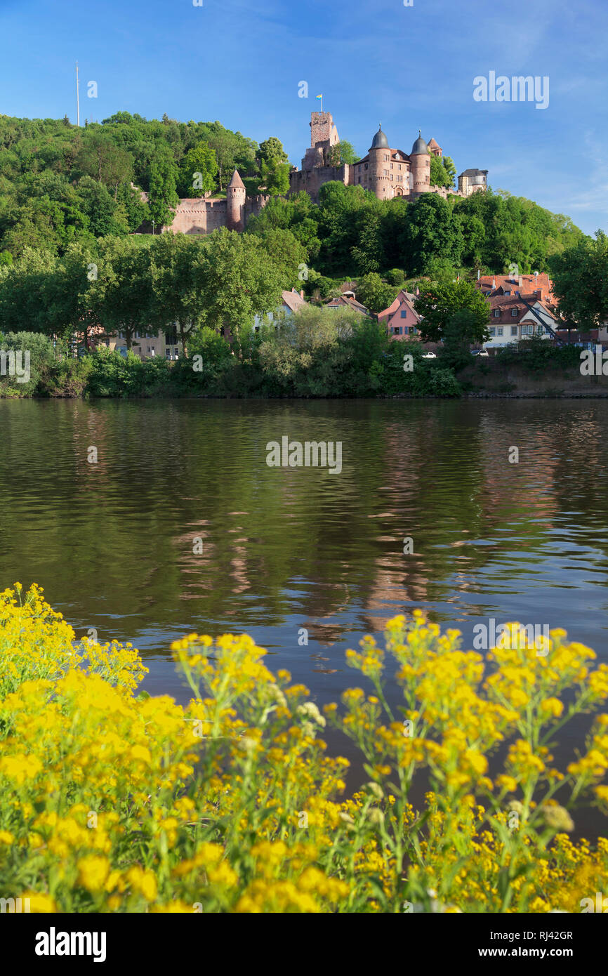 Burg Wertheim am Main, Wertheim, Main Tauber Kreis, Baden-Württemberg, Deutschland Stockfoto