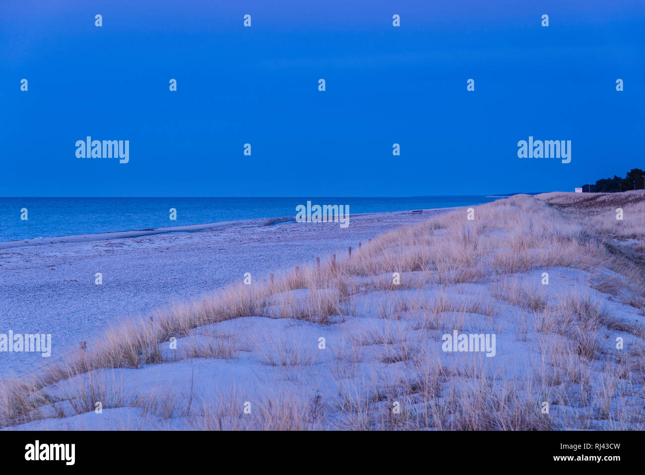 Deutschland, Mecklenburg-Vorpommern, Halbinsel Fischland-Dar?-Zingst, Halbinsel Darss, Ostseebad Prerow, Strang mit D?nen, Stockfoto