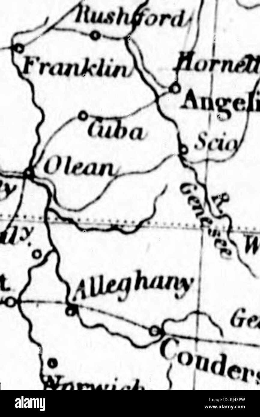 . Der Emigrant und Sportler in Kanada [microform]: einige Erfahrungen eines alten Landes Siedler: mit Skizzen der kanadischen Leben, Sportliche Erlebnisse und Beobachtungen auf die Wälder und Fauna. Jagd; Angeln; Chasse; PÃªche sportlich. * YV */ Abl. fbu. 5 ^^t^^"""^7^*^*^'''''^^^*^ Ruiu^- Hiehnipnd J Nnvrv ein ''iiernaown Bl.. n Ion. J:'"''""^l Burg l KasUm. K&lt; Mcrcen Â" 1 ifa/f/p I â¢â¢ t. inrnitf!'. i), X.,-n"'i,.  JJ sind dericMT jftenrtowfi ^ ^-^ ^' 78 I1 M^rJ "Lair fjaid. j % YorK L Wt-Tpo^^7^^" aALTIMORE'. • Sr. Smxma.". ^ Ich Stockfoto