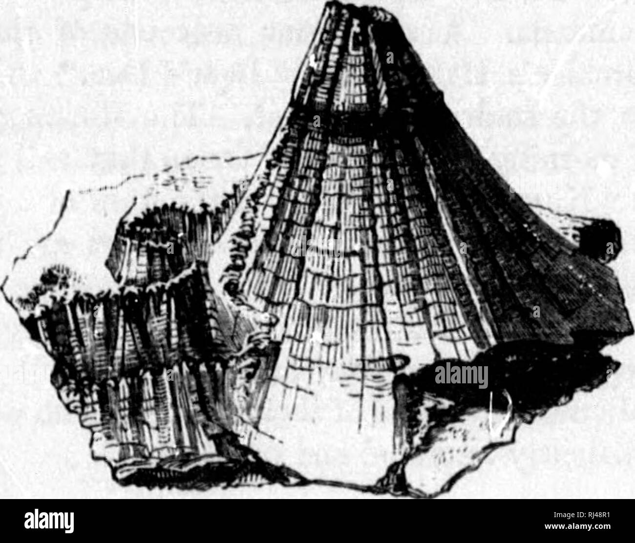 . Die Geologie von Nova Scotia, New Brunswick und Prince Edward Island, oder Acadian Geologie [microform]. Geologie; Geologie, Stratigraphische, Paläontologie, Geologie, Wirtschaft, Géologie; Géologie stratigraphique; Paléontologie; Géologie économique. 676 ANHANG. ist in einem Lastkahn, der gräbt einen Kanal, in dem er schwimmt wie die Arbeit geht. Der Druck ist r ot beschäftigt. Torf in dieser Weise vorbereitet ist bei 4 dols verkauft. pro Tonne in Montreal, und vorteilhaft für die Pro-duktion von Dampf und in heimischen Bränden. In Irland und in Schottland versucht haben auf einer großen Skala pe zur Nutzung Stockfoto