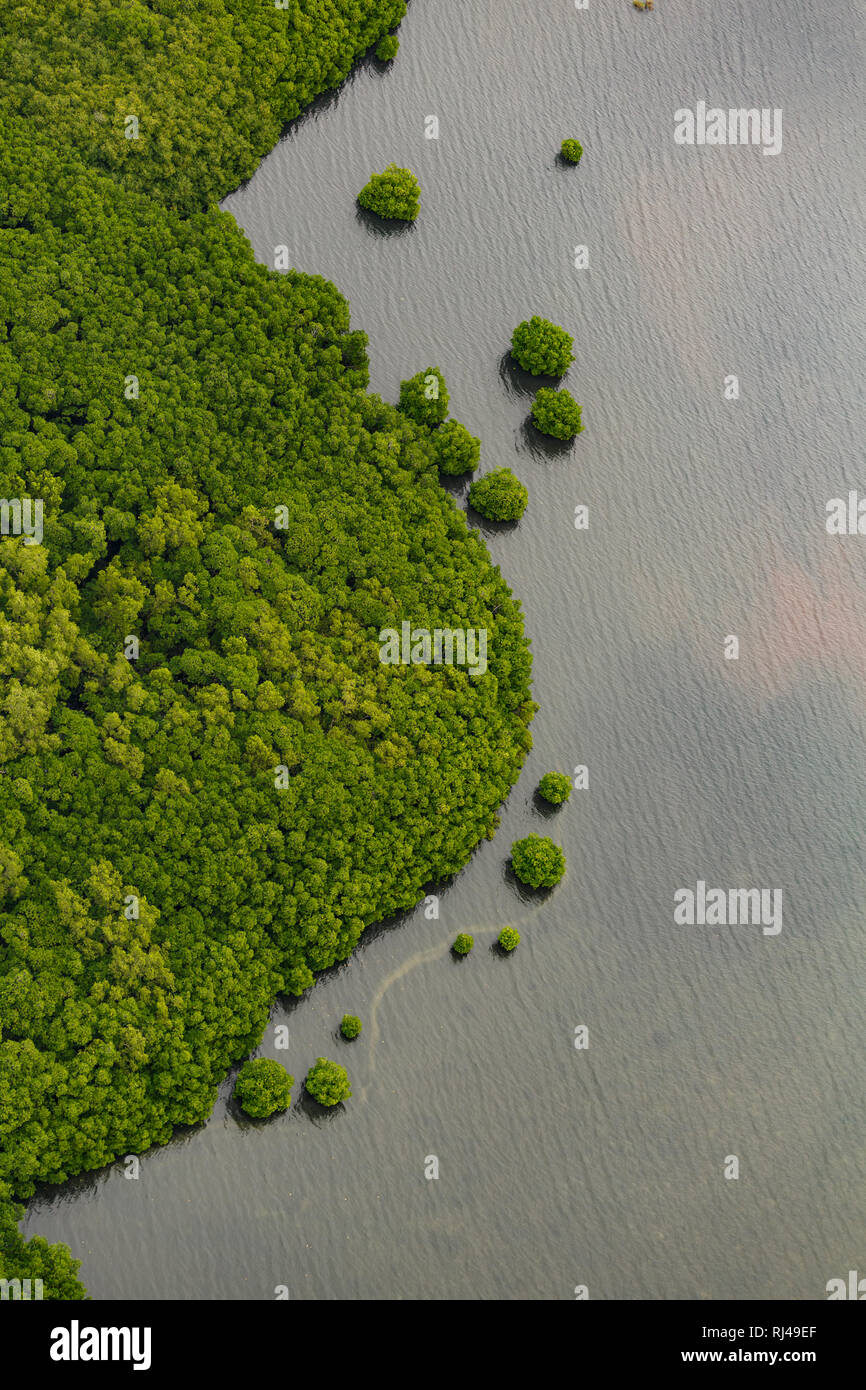 Luftaufnahme der Gruppe von kleinen winzigen Punkt südpazifischen Inseln mit üppiger Vegetation und Korallenriffe abgedeckt Stockfoto