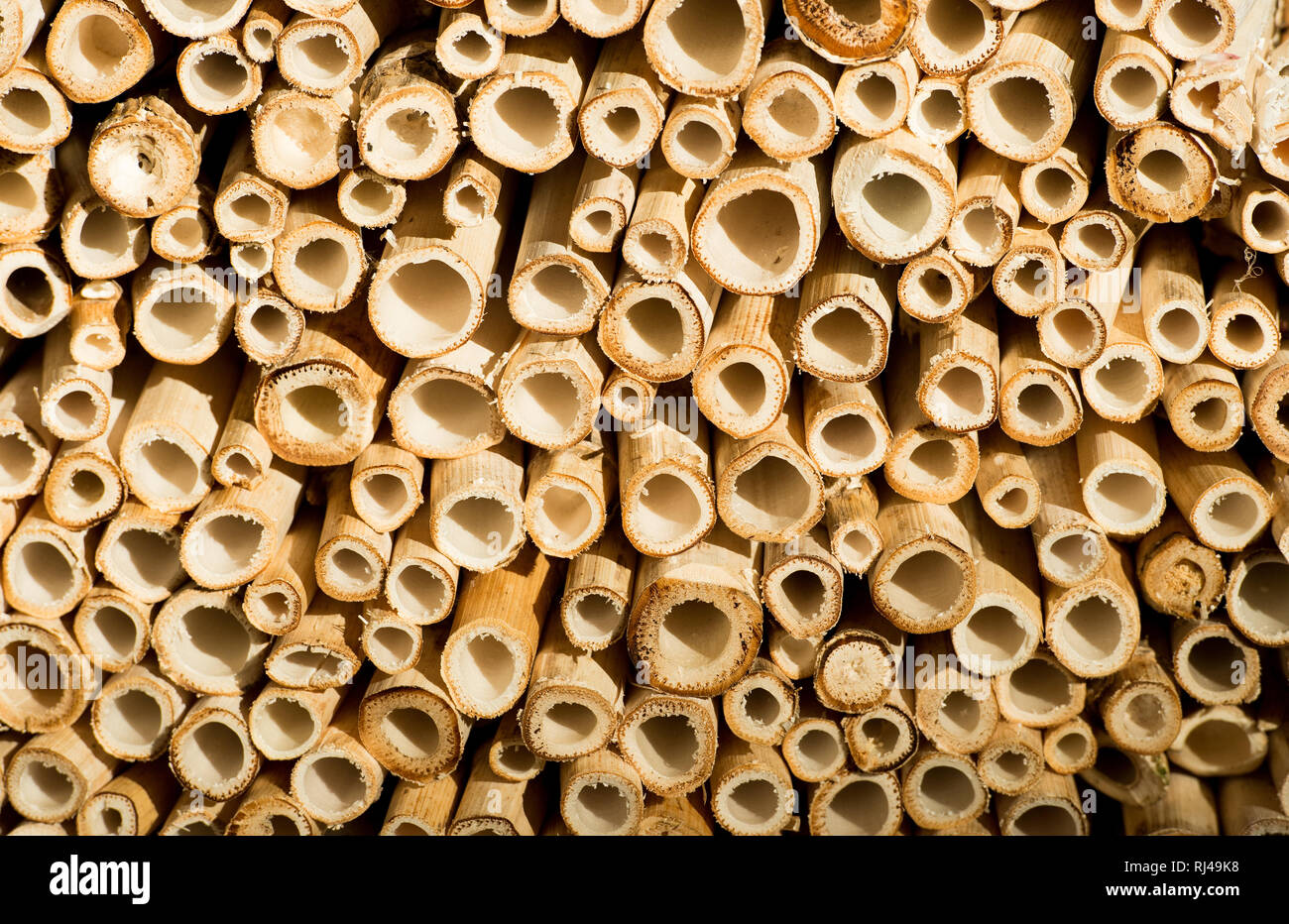 Strukturierte Zusammenfassung natürlichen Hintergrund von Holz- oder Holz Bambus oder Rohre mit rundrohre Stockfoto