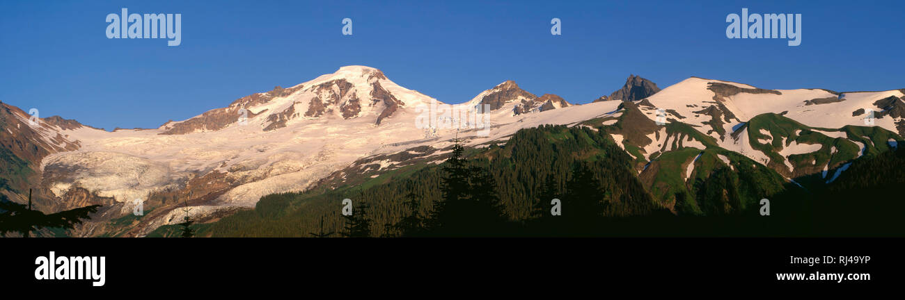 USA, Washington, Gletscher-plattiert Nordwestseite von Mount Baker im Mount Baker Wilderness, vom Mount Baker Snoqualmie National Forest. Stockfoto