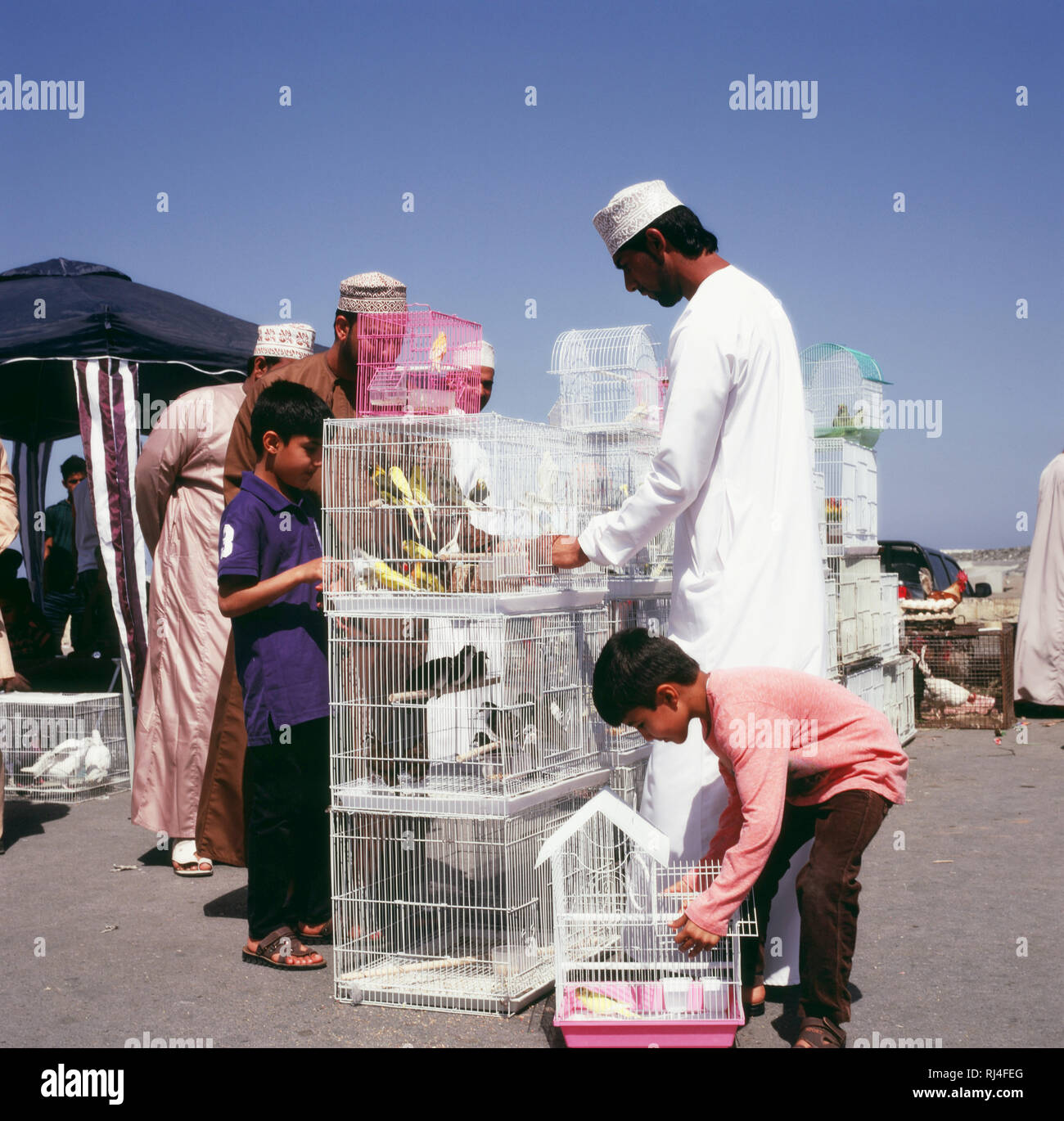 Nahe Seeb Muscat, Vogelmarkt Stockfoto