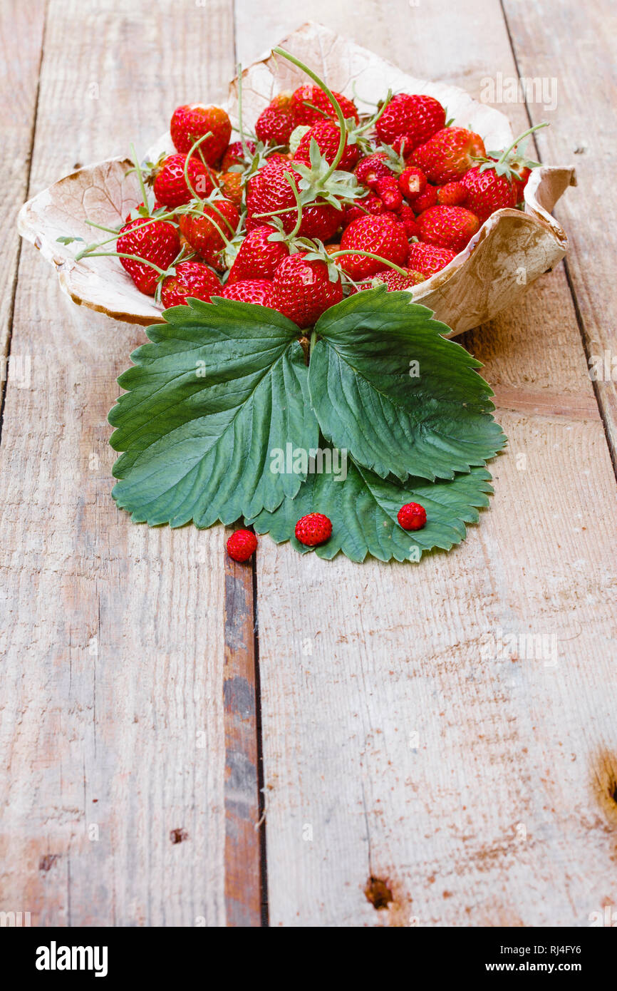 Erdbeeren in Einer Schale Stockfoto