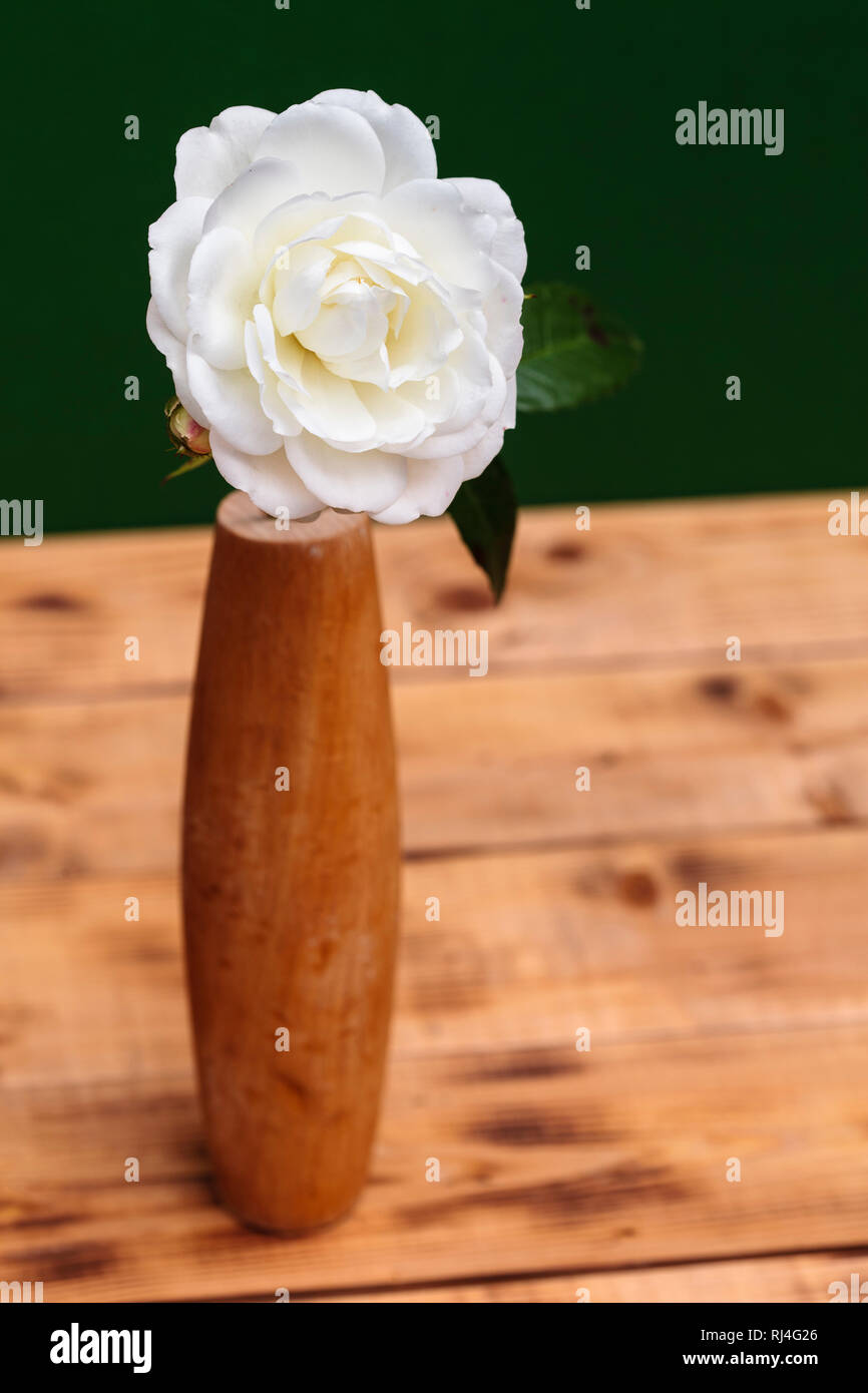 Vase aus Holz, wei?e Rose Stockfoto