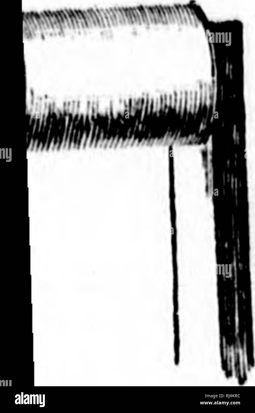 . Landwirtschaft [microform]. Landwirtschaft; Landwirtschaft. t die meisten ist, dass s Arc disagrec-Js von ein und gibt der Nahrung ist Lat ein Vogel, Traufen und, ge, iler, in der d's Diät ist. Sollte minale werden Die: ult zu unseren Einheimischen s bilden eine möglich zu xs jährlich FORSTWIRTSCHAFT. i8i e Farm und und Unkraut, larlins und vw in vielen re riculture, treu. Kapitel XXXVIII. Forstwirtschaft. Der Urwald. - Was war der Auftritt von Nordamerika vor vierhundert Jahren, beim ersten von Columbus und von Cabot entdeckt? Lassen Sie uns zu einer Karte des Kontinents. Entlang der Westküste haben wir die große Mo Stockfoto